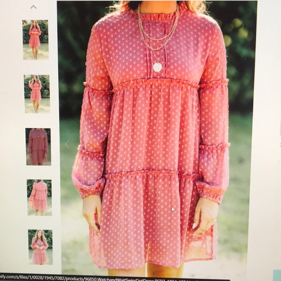 Watch and wait brick red Swiss dot dress - Picture 2 of 4